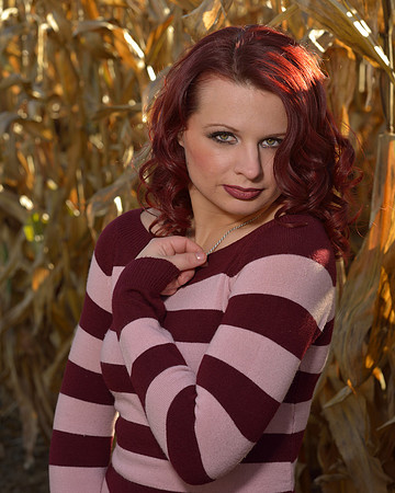 Harvest Shoot