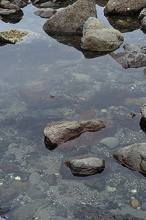 Tide Pools II