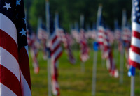 Flag Day