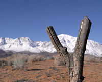 Winter Break 2011