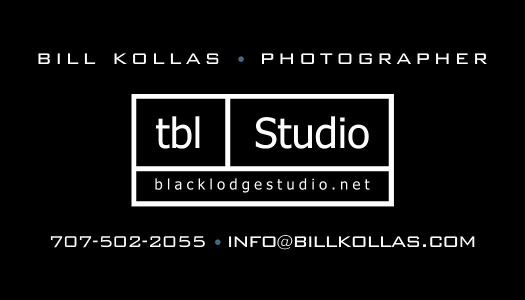 Black Back