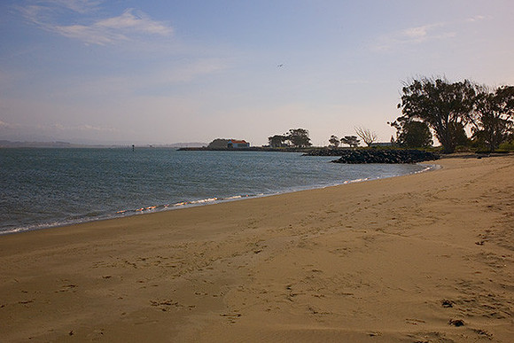 The bay side of Samoa Dunes