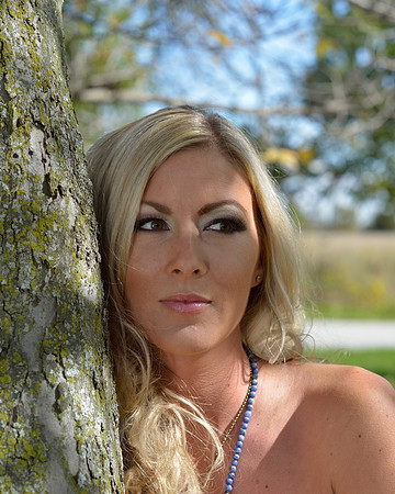 Harvest Shoot