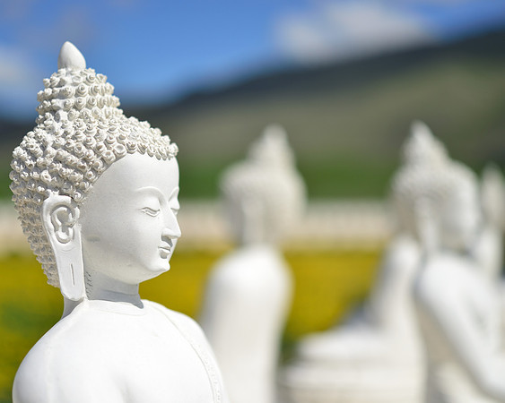 Garden of 1000 Buddhas