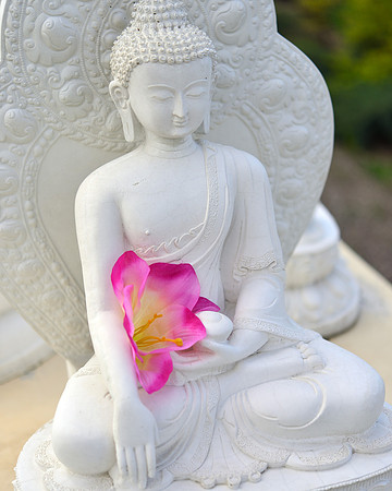 Garden of 1000 Buddhas