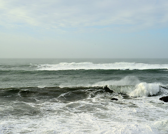 Cape Arago