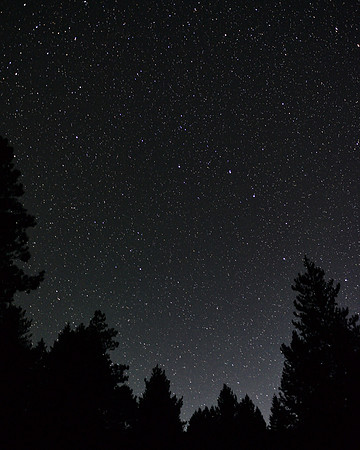 Darby, MT