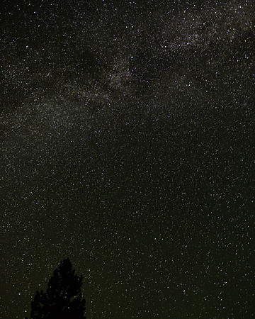 Darby, MT