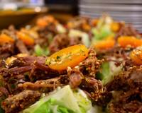 Brisket Salad