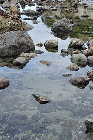 Tide Pools I