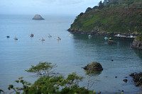 Fleet at Rest