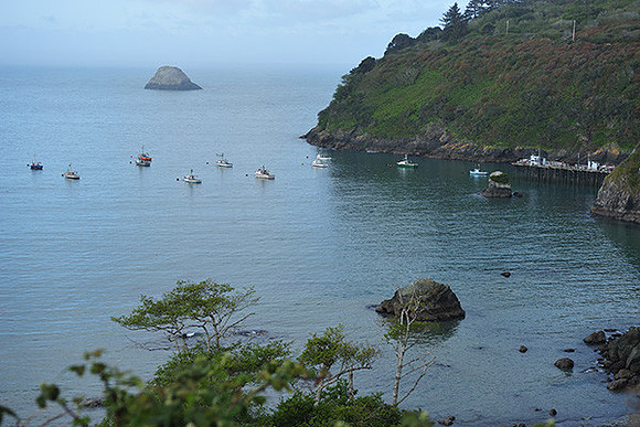 Fleet at Rest