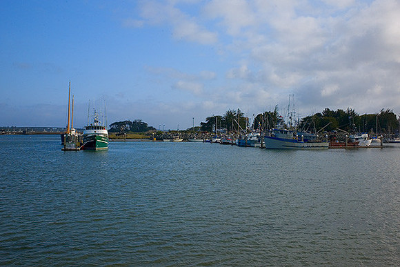 Marina at Humboldt Bay