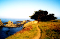 Path to the Sea