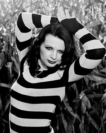 Harvest Shoot