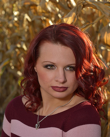 Harvest Shoot