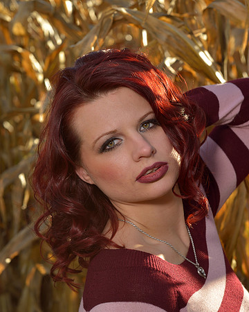 Harvest Shoot