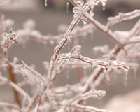 Frozen Ohio