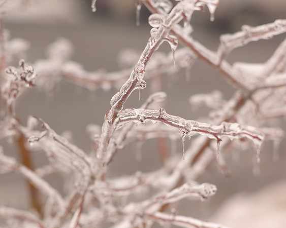 Frozen Ohio