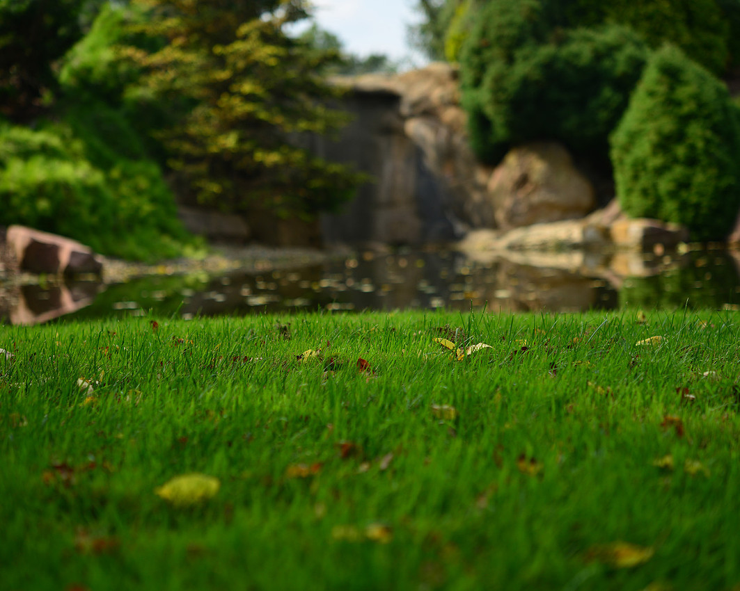 Schnormeier Gardens